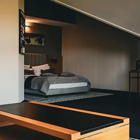 Hotel Hotel&medi-spa Biały Kamień 4*