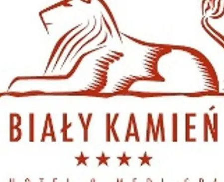 Hotel & Medi-spa Bialy Kamien 4*