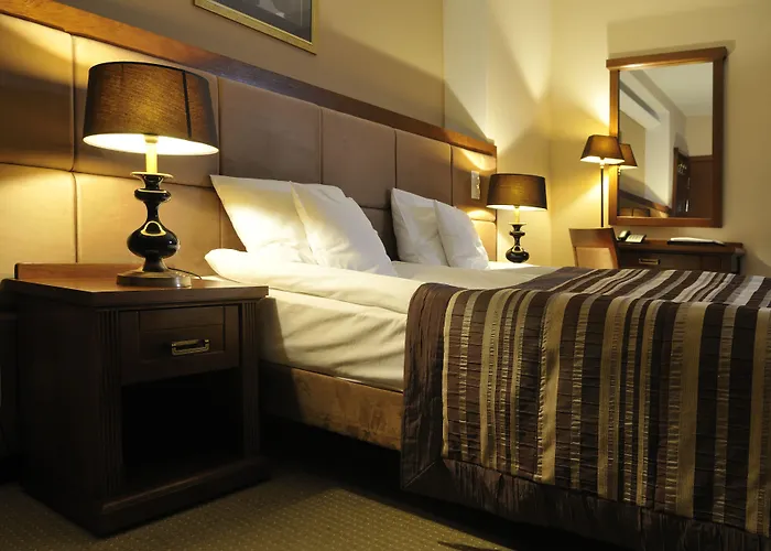 Hotel & Medi-spa Bialy Kamien 4*