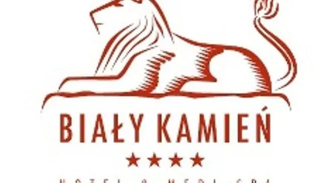 Hotel & Medi-spa Bialy Kamien 4*